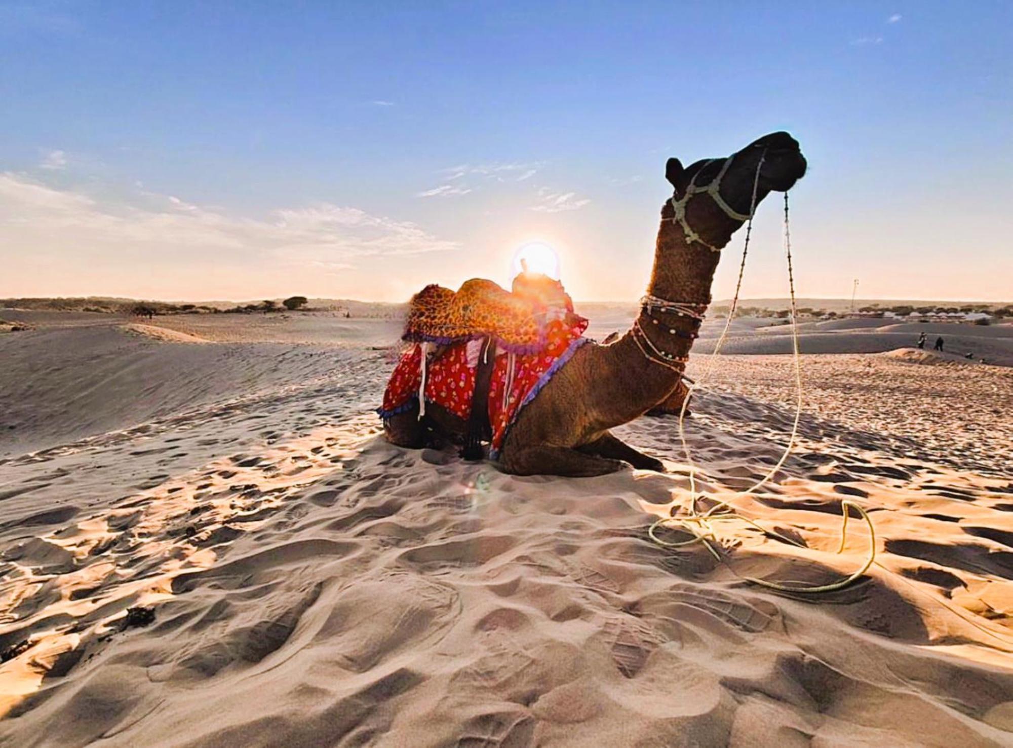 Jaisalmer Sand Dunes Luxury Camp And Resort エクステリア 写真